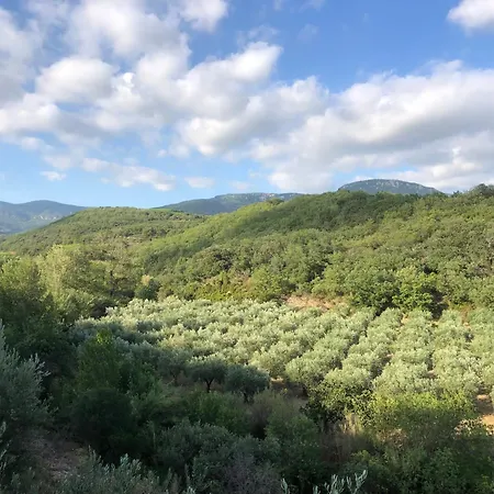 & Terrasse Vue Larzac Daire *